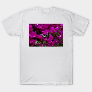 Dingy Swallowtail T-Shirt